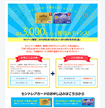 HP制作事例　カード夏の入会キャンペーン